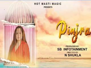 Pinjara Hot Web Series